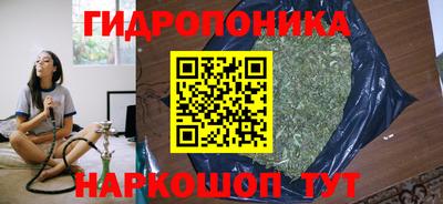 соль ск Кингисепп