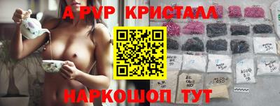 соль ск Кингисепп