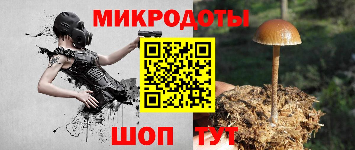 Псилоцибиновые грибы MAGIC MUSHROOMS Губкин