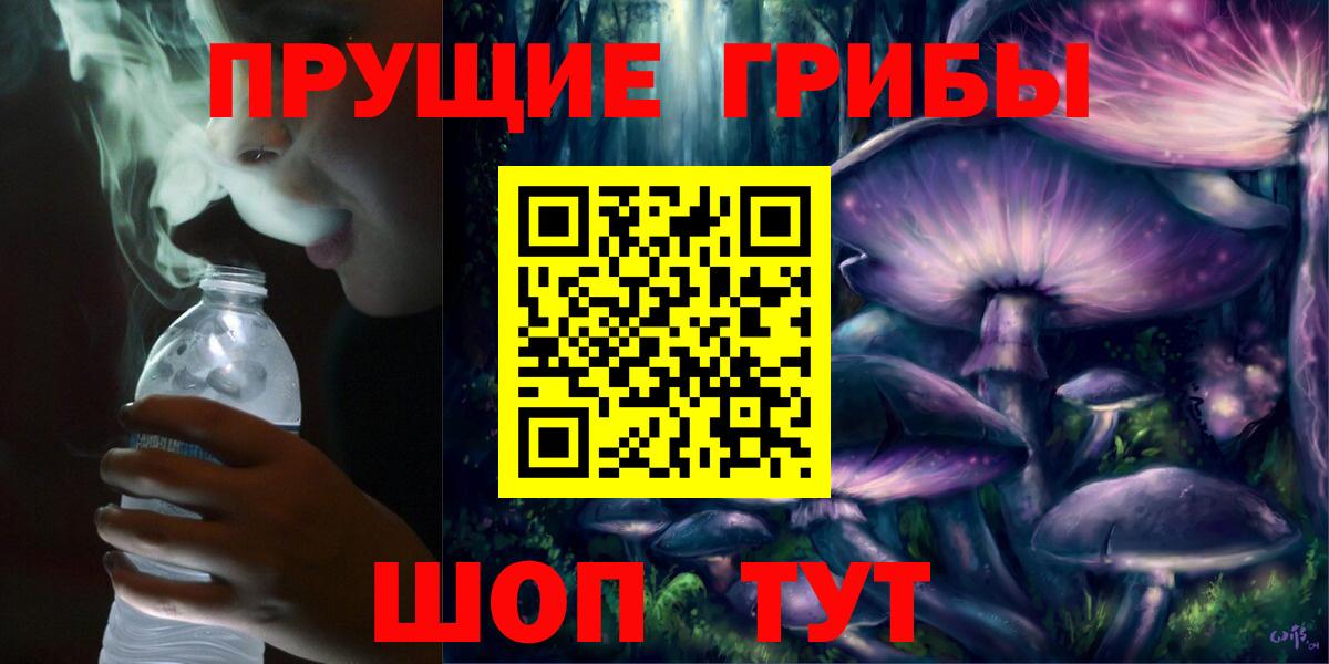 Галлюциногенные грибы Cubensis  Псилоцибиновые грибы Cubensis  Губкин  Вход с VPN 